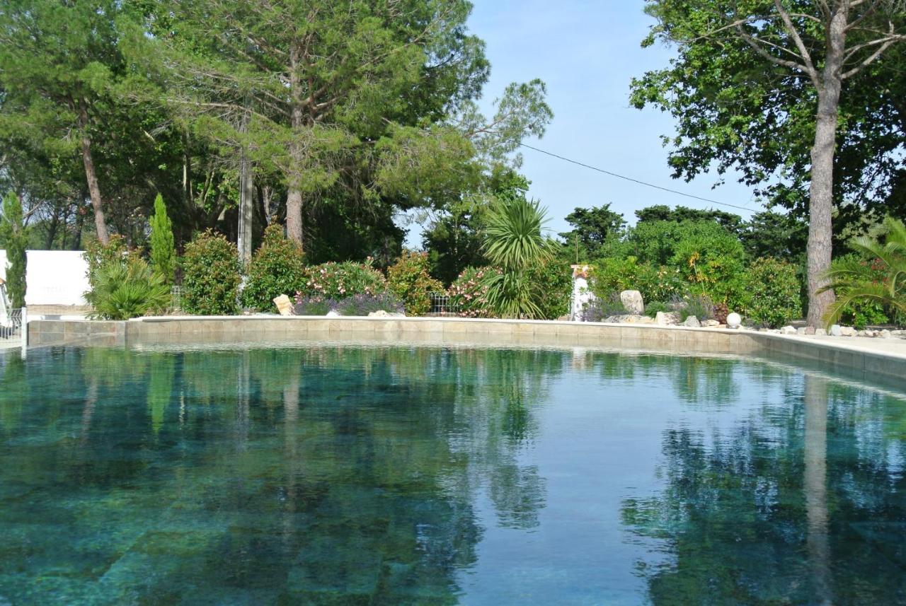 Grand Tamaris Hosting Bed & Breakfast Arles Ngoại thất bức ảnh